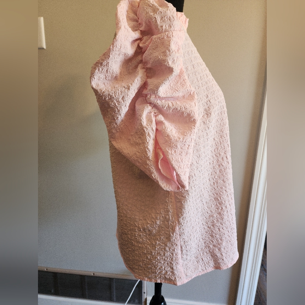 THML Pale Pink Textured Ruffle Sleeve Top - Picture 2 of 5